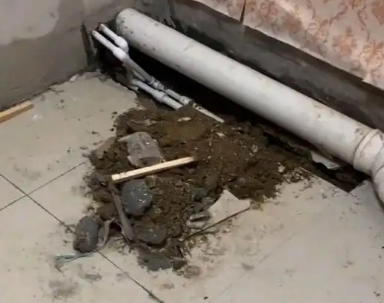 鸡东卫生间漏水检测哪家好