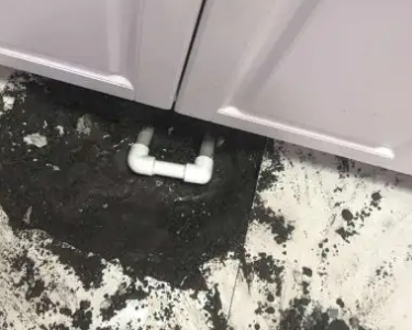 鸡东查漏水哪家好